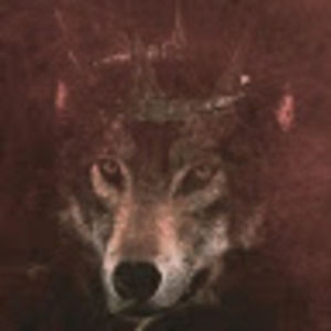 Meet your Posher, Donald